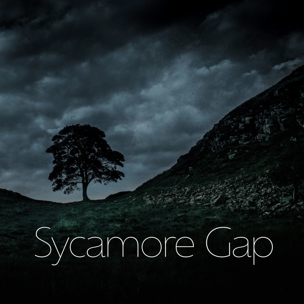 Musical Mind - Sycamore Gap