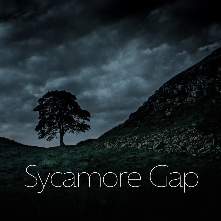 Musical Mind - Sycamore Gap